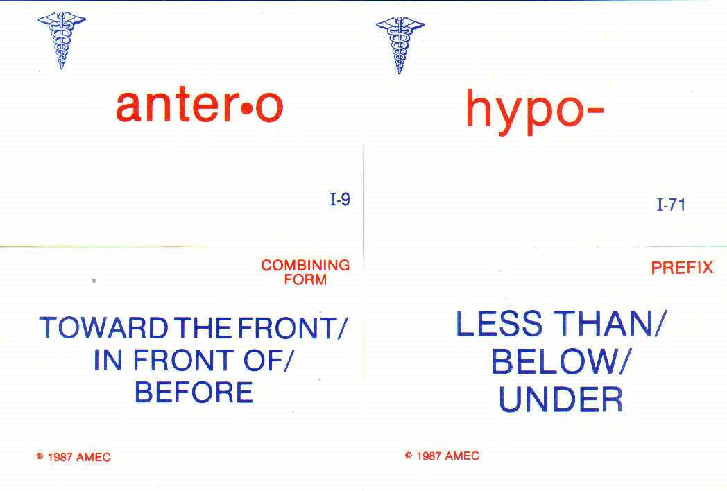 Head Pain Head Pain Medical Terminology