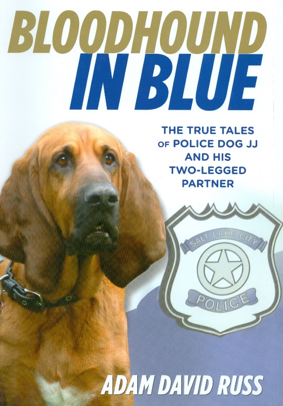 
Bloodhound in Blue 