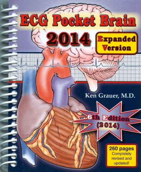 ECG Pocket Brain