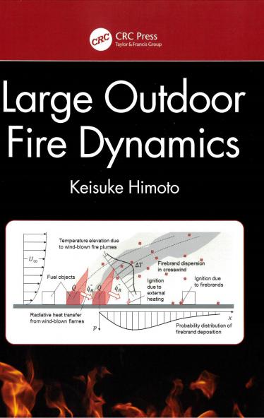 Large Outdoor Fire Dynamics