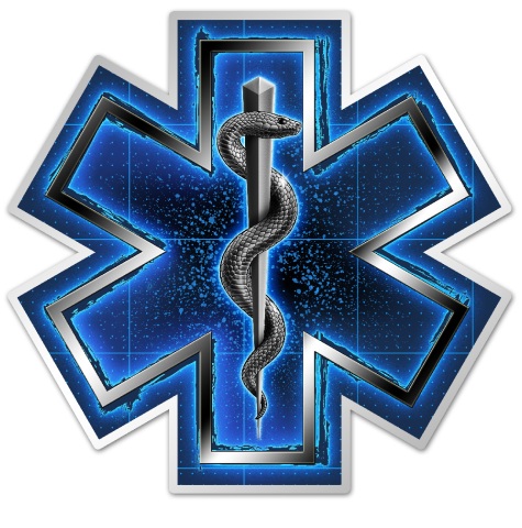 EMS 4 inch Decal